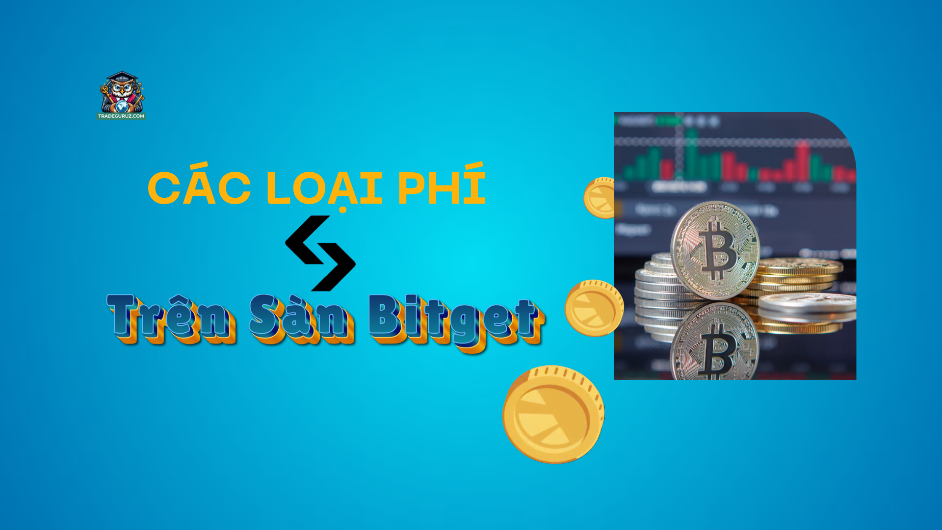 Các loại phí trên sàn Bitget